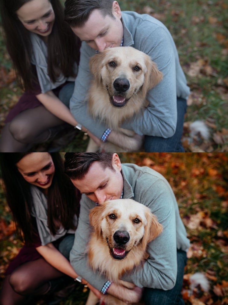 Wanderlust Preset Collection