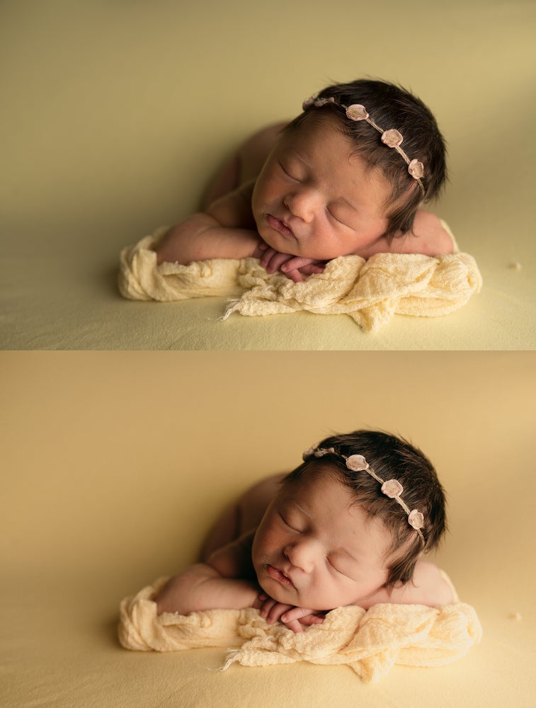 Natural Elements Preset Collection
