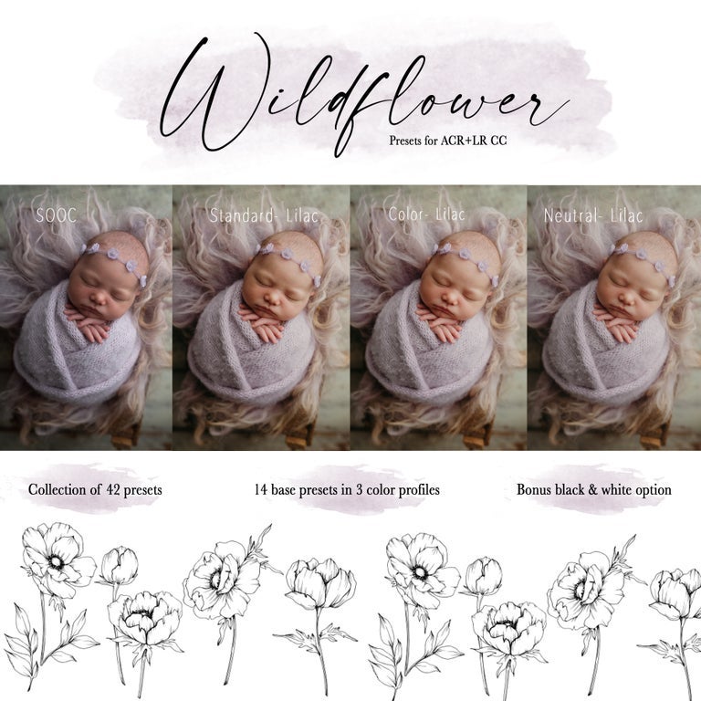 Presets and Actions Bundle